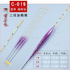 黄金眼旗舰店 新款彩金版纳米浮漂 黑坑竞技浮标 混养鲫鱼鲤鱼漂