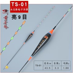 黄金眼官方旗舰店黄金眼鱼漂正品新款碳素夜钓夜光漂水无影电子漂