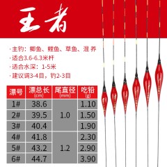2018新款大红袍电子浮漂夜光漂鲫鱼电子夜光鱼漂超亮夜钓浮漂