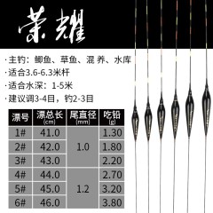 2018新款大红袍电子浮漂夜光漂鲫鱼电子夜光鱼漂超亮夜钓浮漂